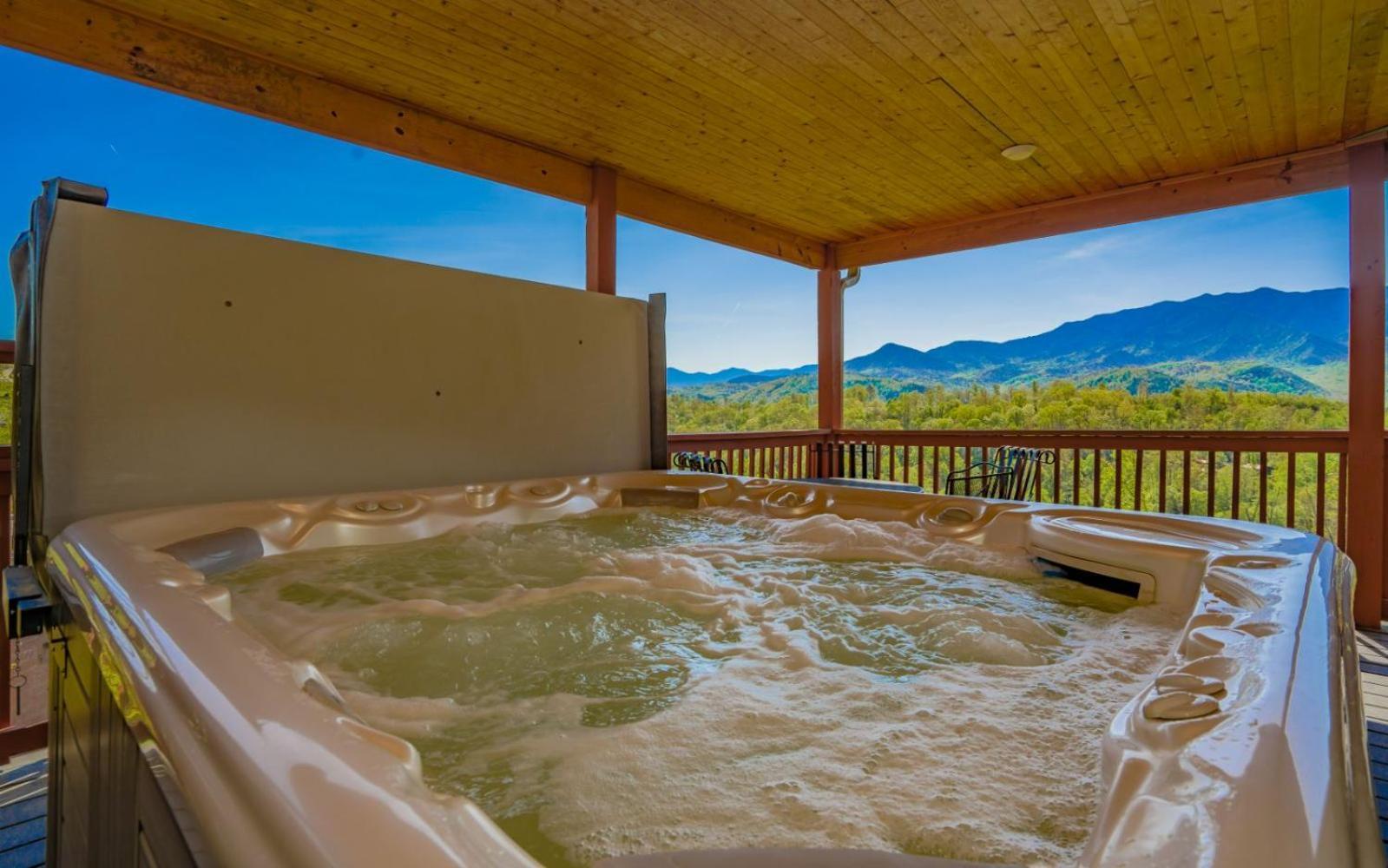 Beartastic Mountain View Lodge 蓋特林堡 外观 照片