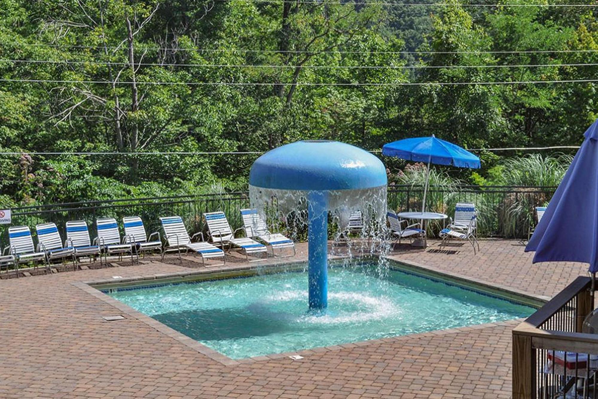 Beartastic Mountain View Lodge 蓋特林堡 外观 照片