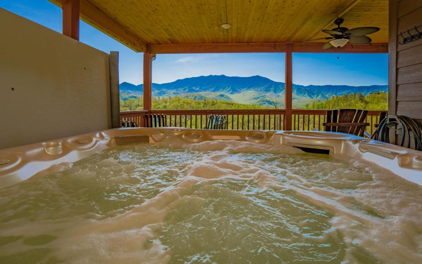 Beartastic Mountain View Lodge 蓋特林堡 外观 照片