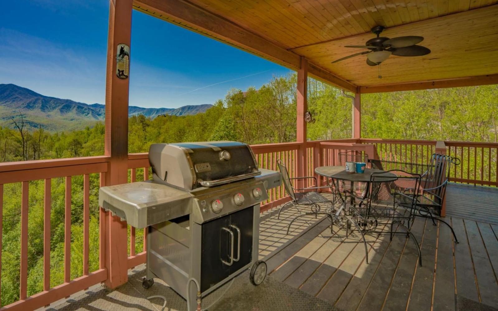 Beartastic Mountain View Lodge 蓋特林堡 外观 照片